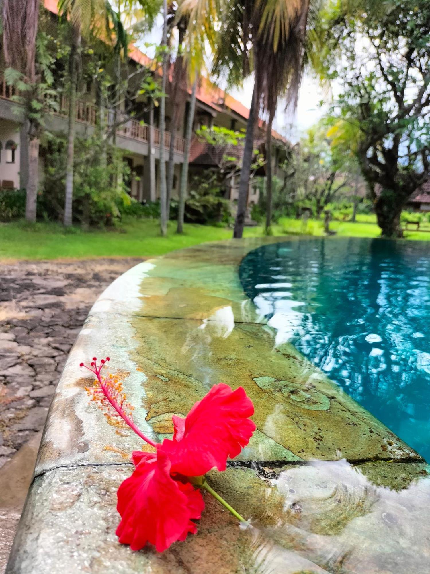 Hotel Seaside Lovina Ngoại thất bức ảnh