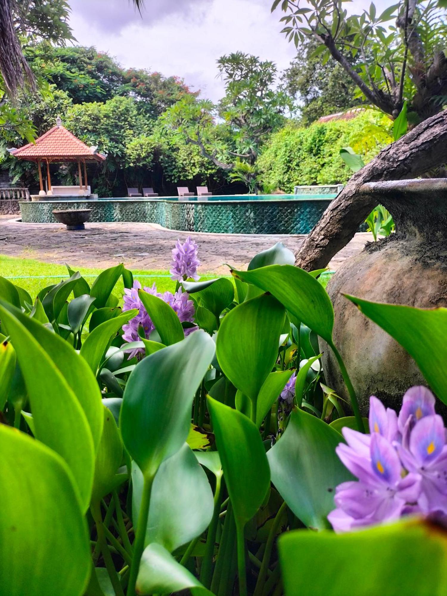 Hotel Seaside Lovina Ngoại thất bức ảnh