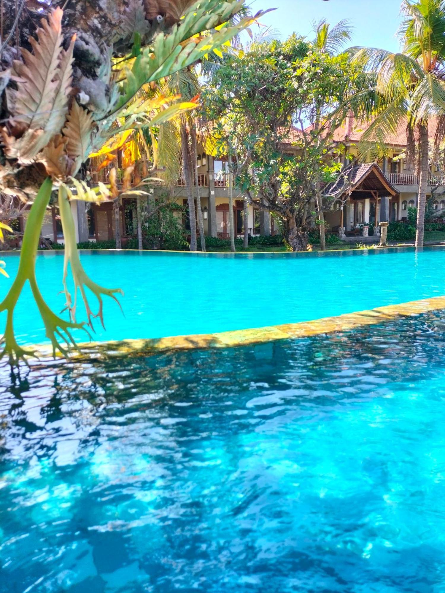 Hotel Seaside Lovina Ngoại thất bức ảnh