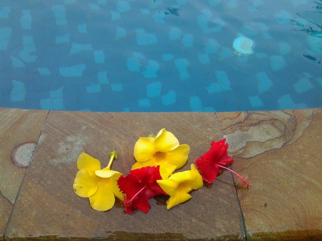 Hotel Seaside Lovina Ngoại thất bức ảnh